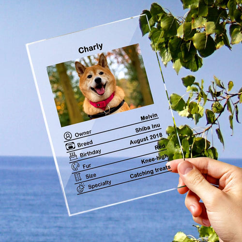 Custom Photo Acrylic Pet ID Plaque - 12*16cm