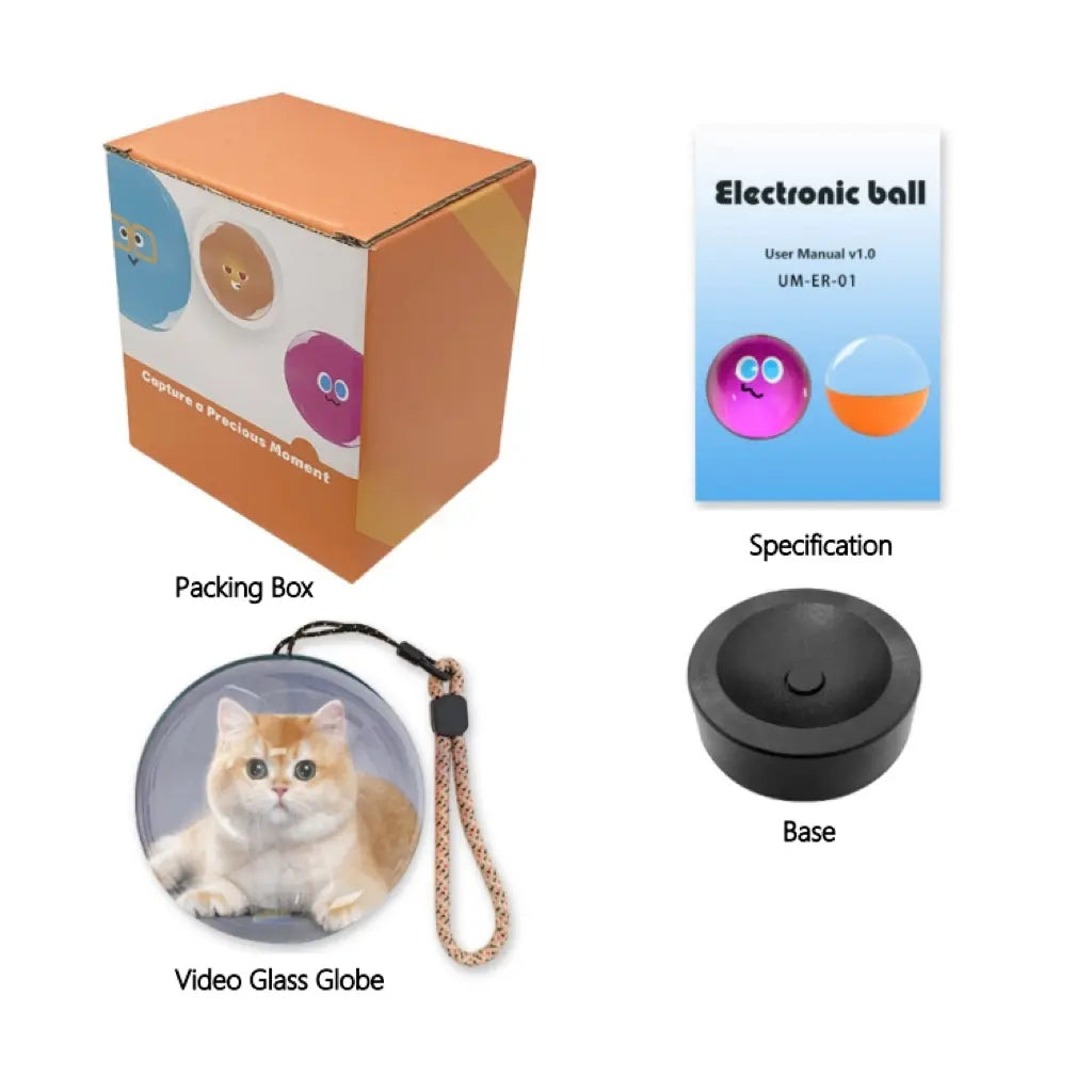 WiFi Version Mobile App Direct Video & Photo Transfer Playable Glass Globe Memorial Gift  (Production time: 10-20 days)