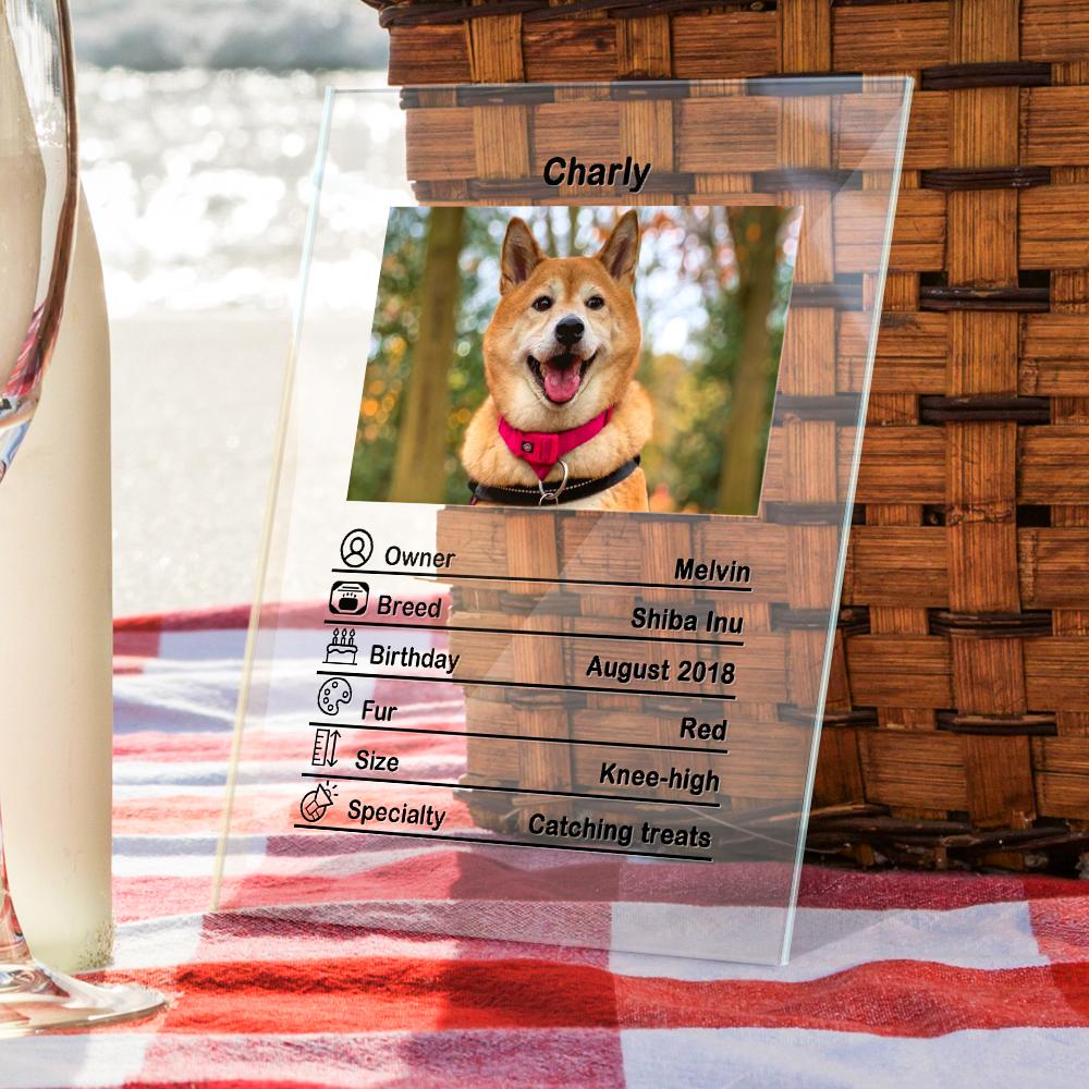 Custom Photo Acrylic Pet ID Plaque - 12*16cm
